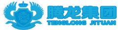 腾龙公司